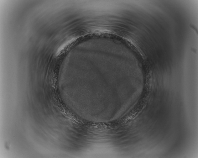 X0000100420919200806271503