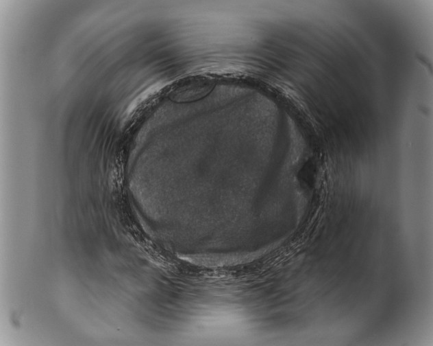 X0000100420920200806271503