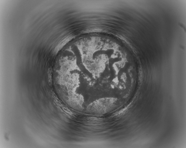X0000100420921200806271503