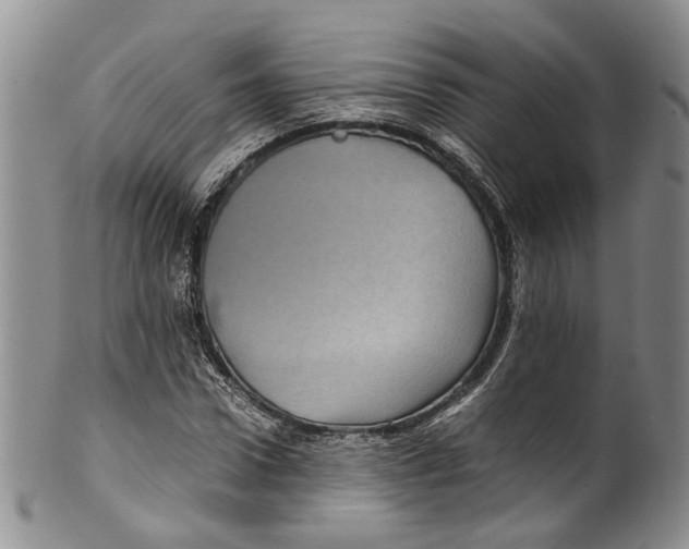 X0000100420922200806271503