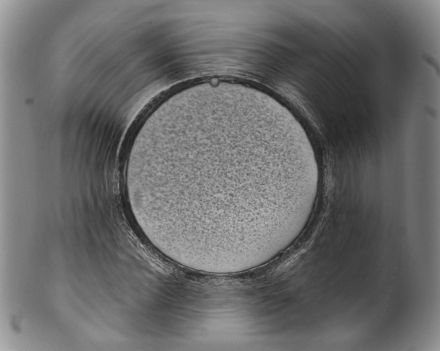 X0000100420924200806271503