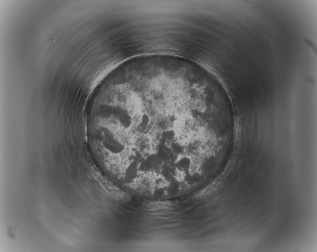 X0000100420925200806271503