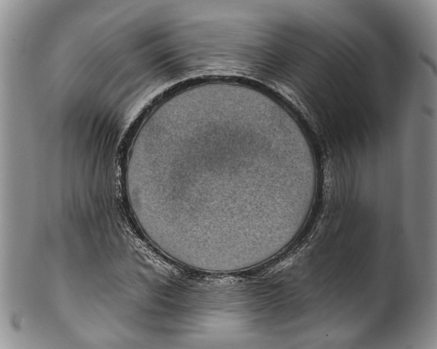 X0000100420926200806271503