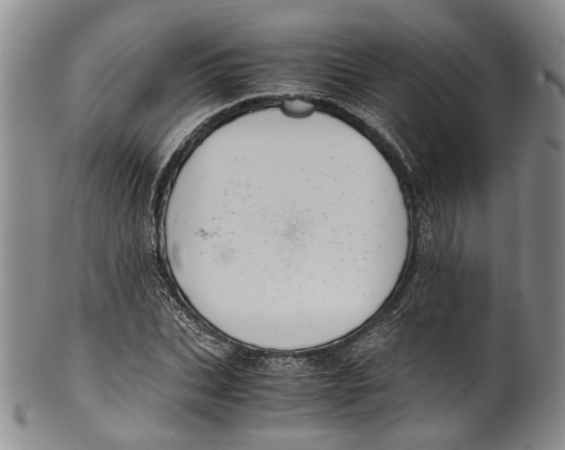 X0000100420927200806271503
