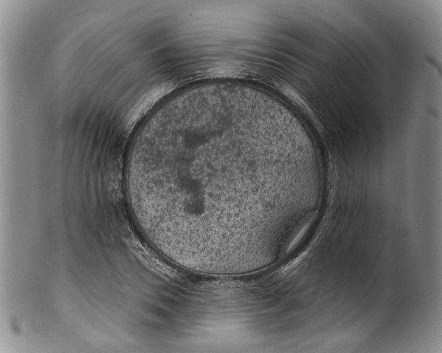 X0000100420930200806271503