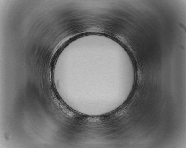 X0000100420931200806271503
