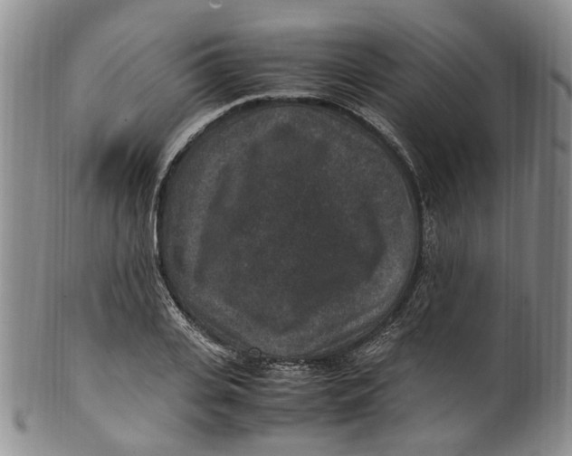 X0000100420935200806271503