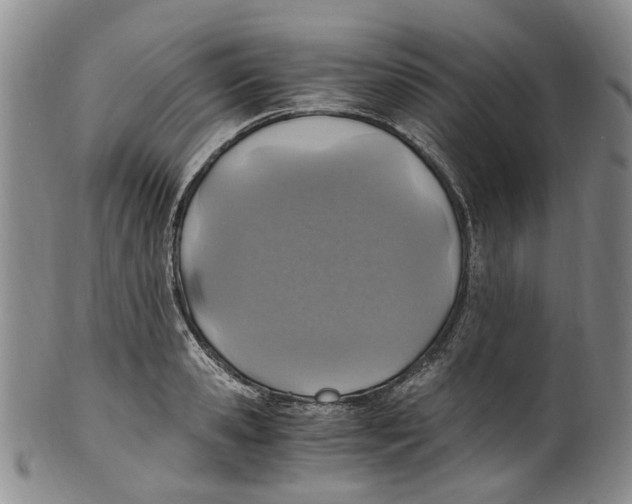 X0000100420941200806271504