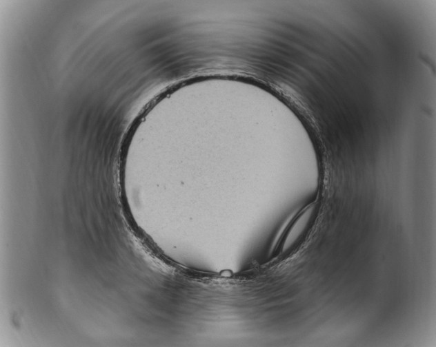X0000100420942200806271504
