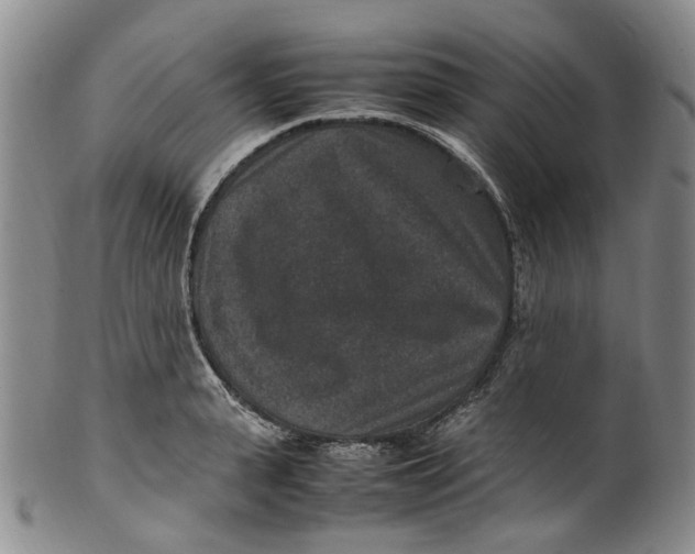 X0000100420943200806271504