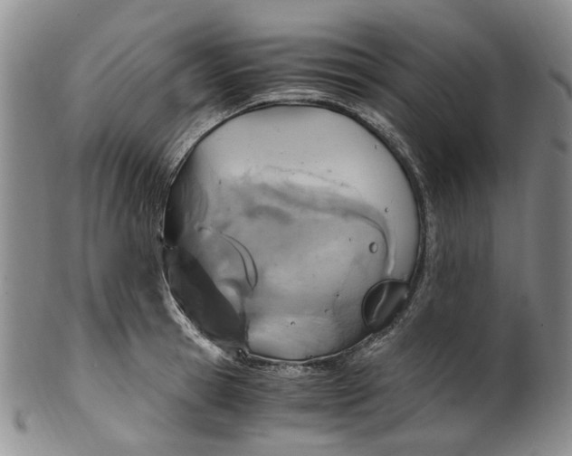 X0000100420945200806271504