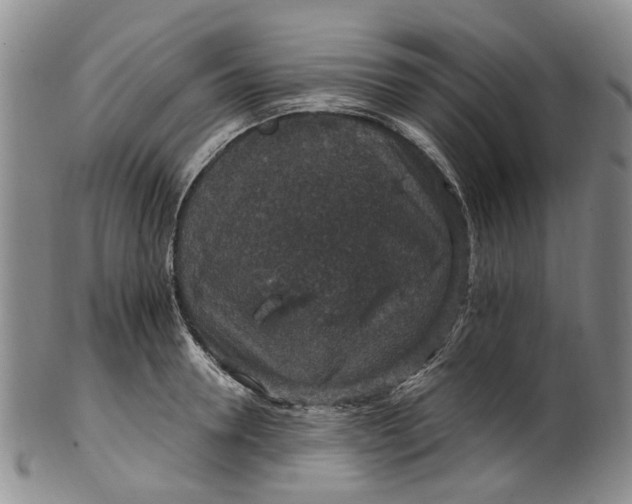 X0000100420946200806271504