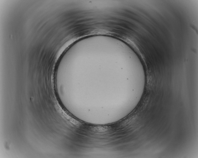X0000100420947200806271504