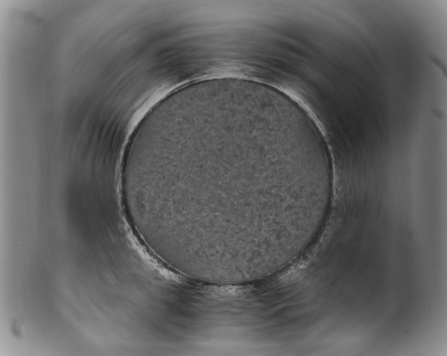 X0000100420949200806271504