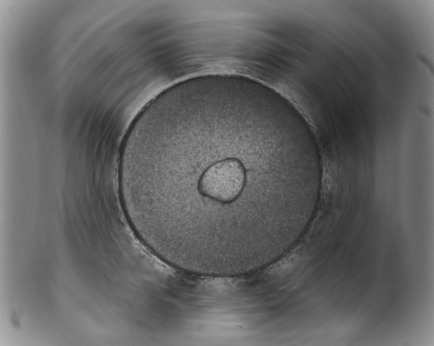 X0000100420950200806271504