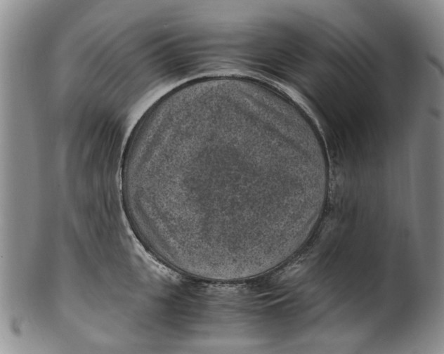 X0000100420951200806271504