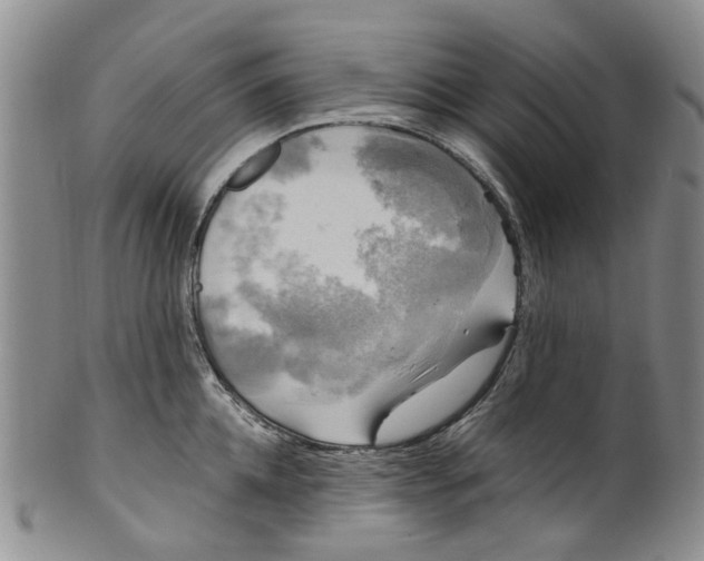 X0000100420952200806271504