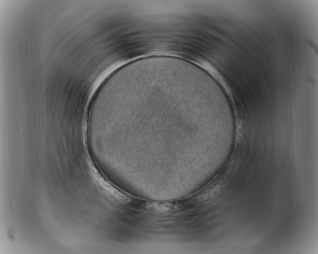 X0000100420955200806271504