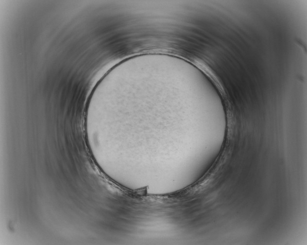 X0000100420956200806271504