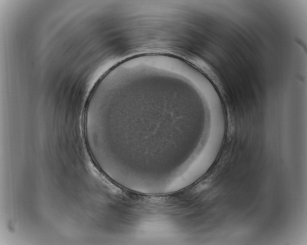 X0000100420958200806271504