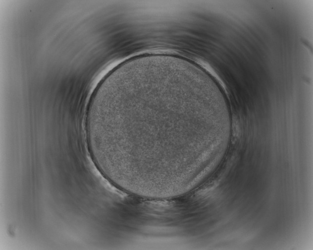 X0000100420959200806271504
