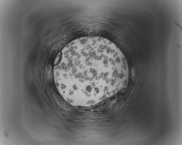X0000100420963200806271503