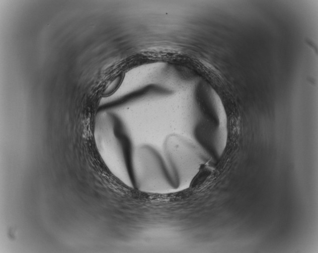 X0000100420965200806271503