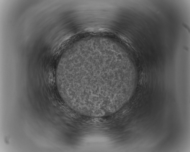 X0000100420966200806271503