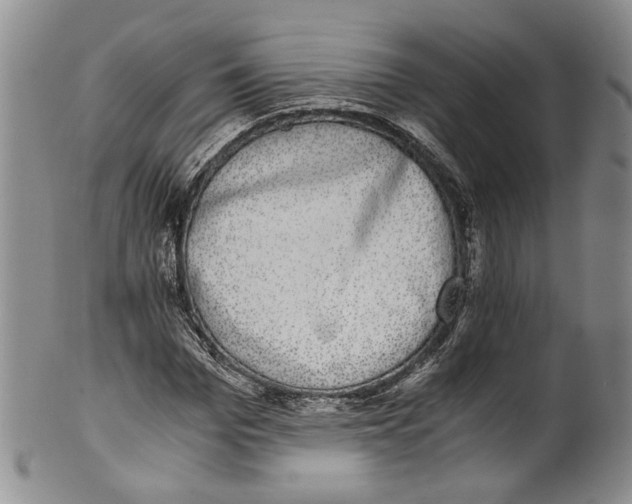 X0000100420969200806271503