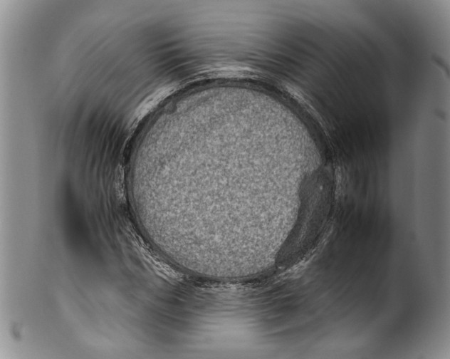 X0000100420970200806271503