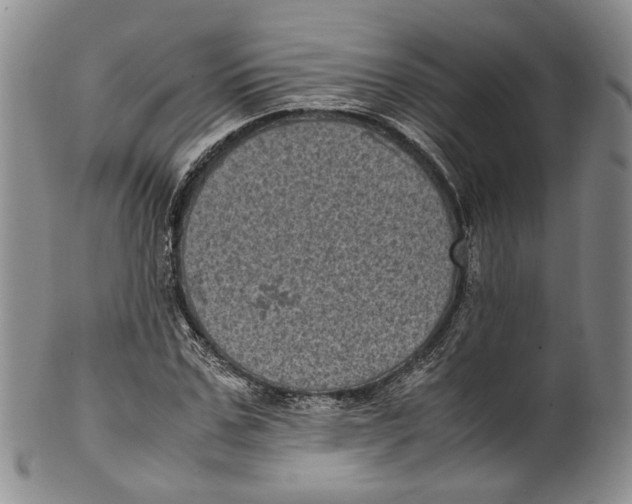 X0000100420971200806271503