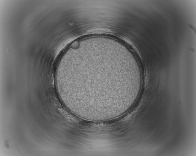 X0000100420973200806271503