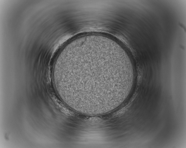 X0000100420974200806271503