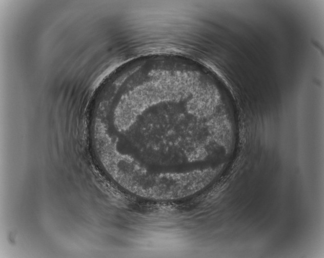 X0000100420975200806271503