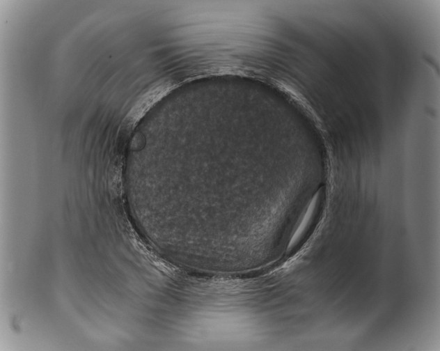 X0000100420977200806271503