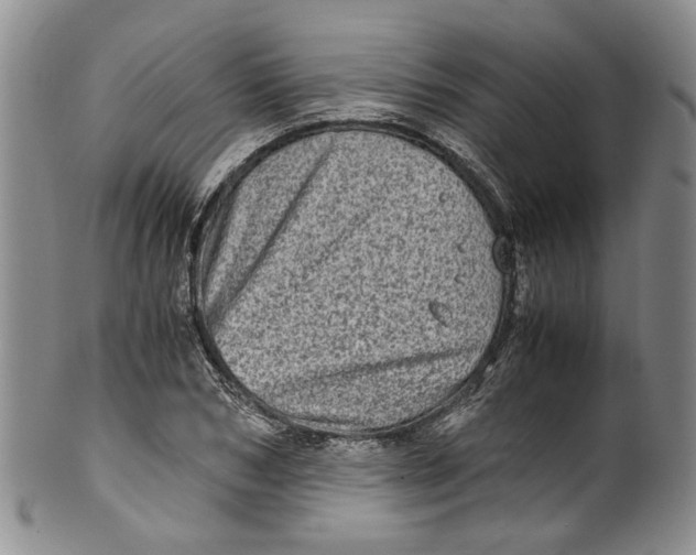 X0000100420978200806271503