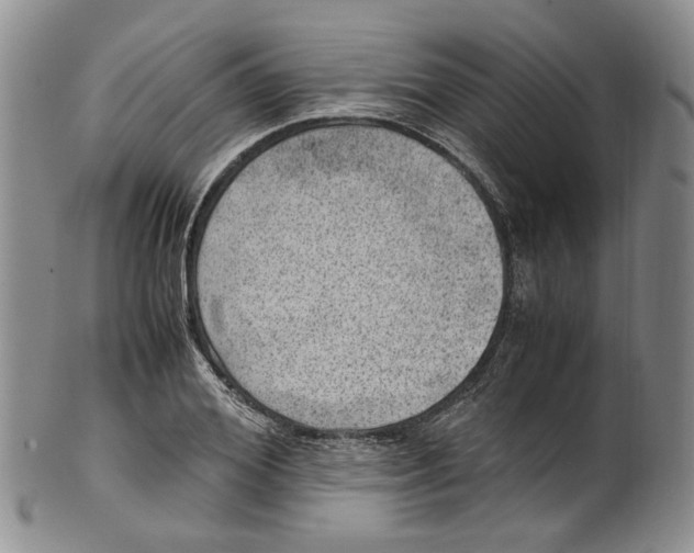 X0000100420980200806271503