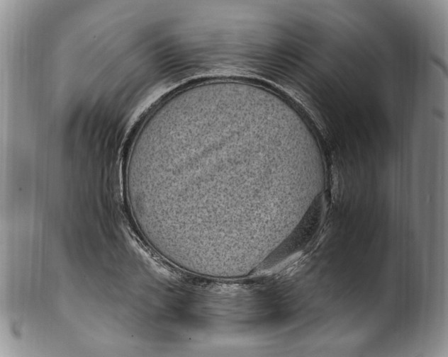 X0000100420982200806271503