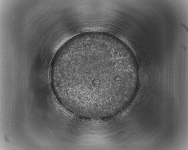 X0000100420983200806271503
