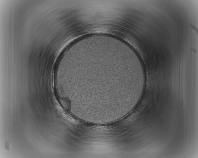 X0000100420984200806271503