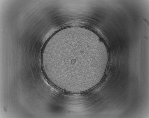 X0000100420986200806271503