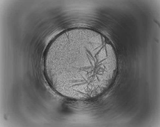 X0000100420987200806271503