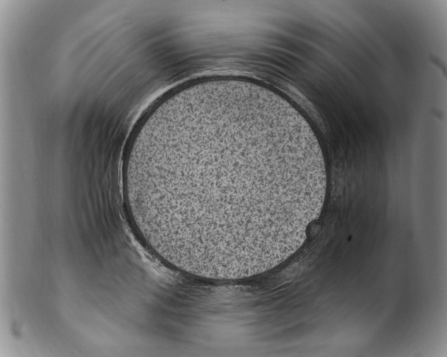 X0000100420988200806271503
