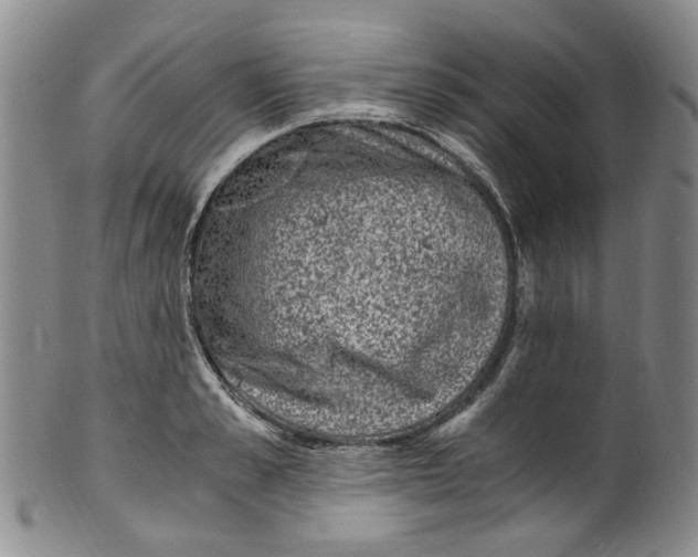 X0000100420989200806271503