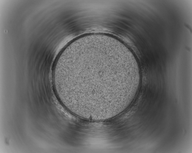 X0000100420990200806271503