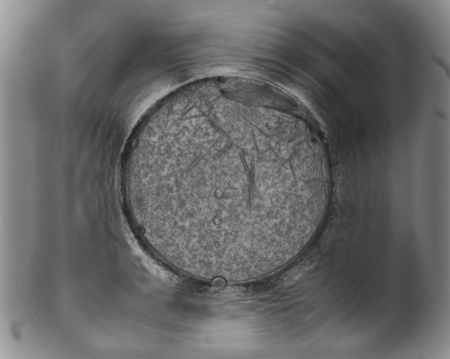 X0000100420991200806271503