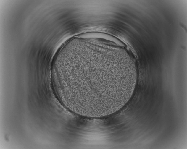 X0000100420992200806271503