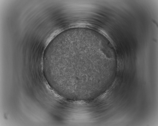 X0000100420994200806271503