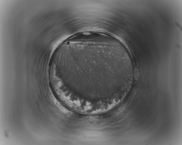 X0000100420995200806271503