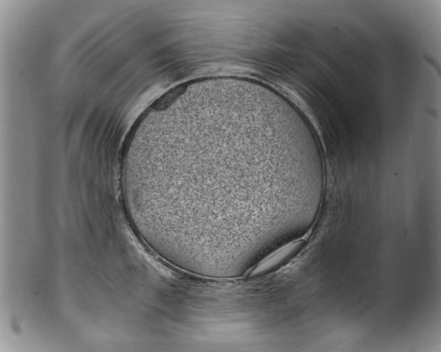 X0000100420997200806271503